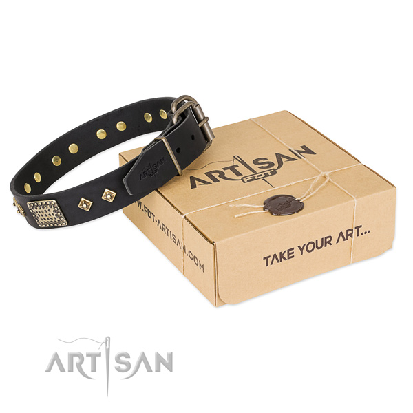Easy to adjust leather collar for your beautiful doggie
