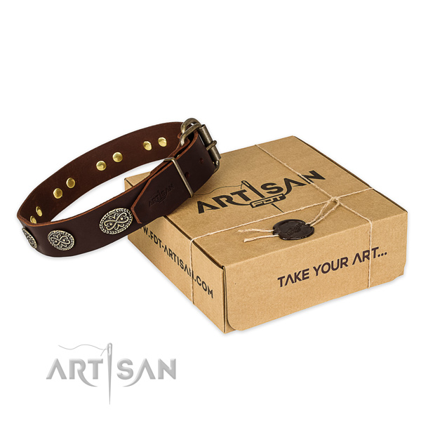 Strong traditional buckle on leather collar for your stylish dog