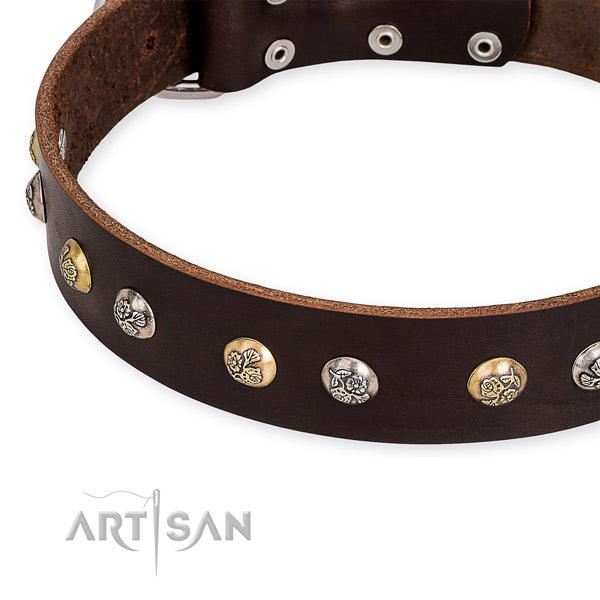 Leather dog collar with stylish design corrosion proof studs