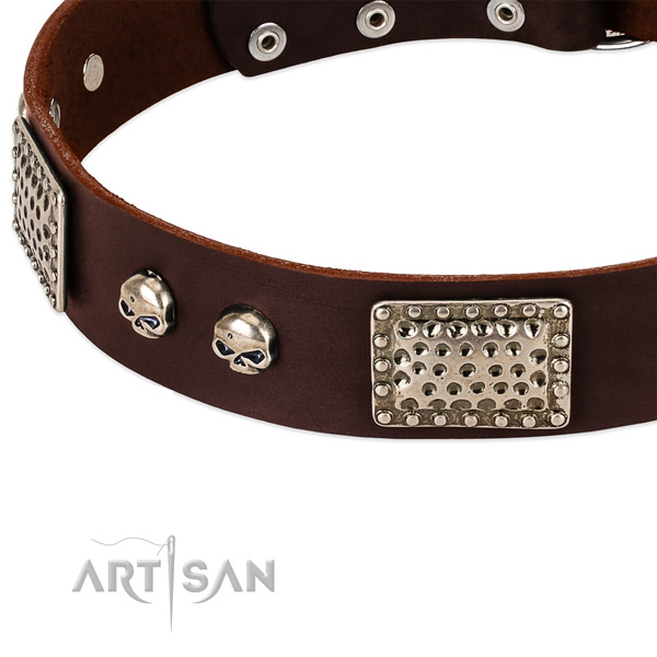 Corrosion proof decorations on full grain natural leather dog collar for your pet