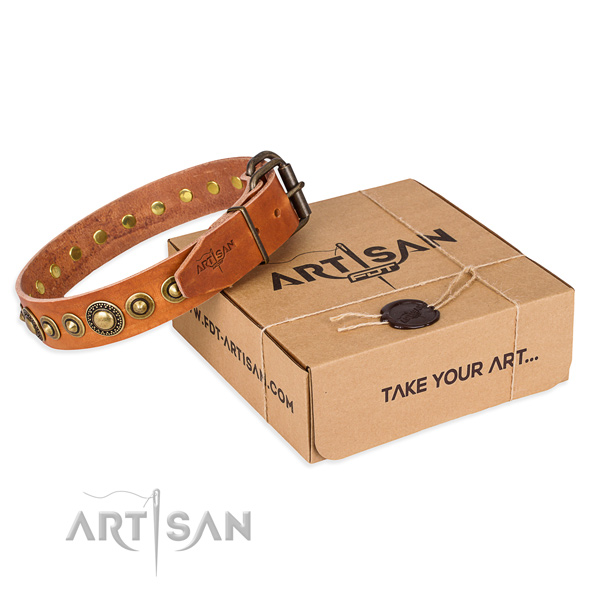 Best quality full grain genuine leather dog collar handcrafted for daily walking
