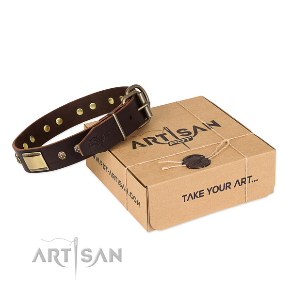 Amazing full grain natural leather collar for your impressive four-legged friend