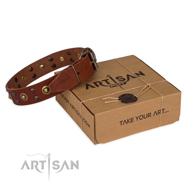 Rust-proof traditional buckle on leather collar for your handsome four-legged friend