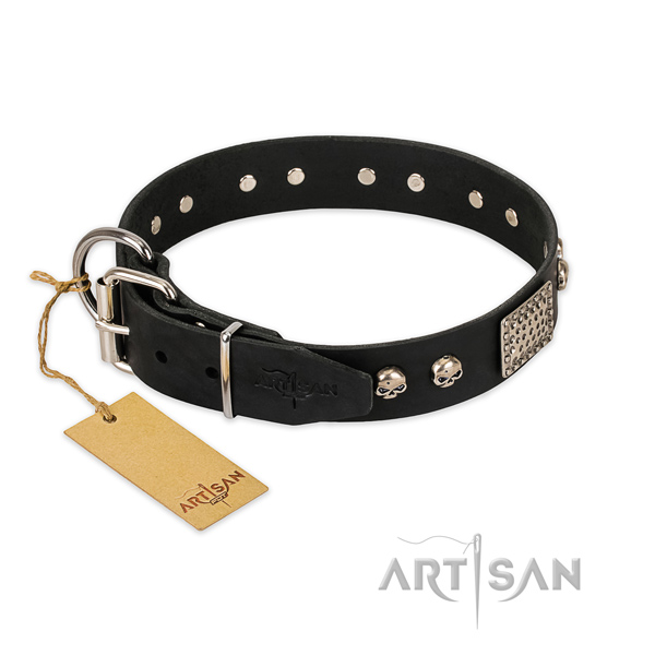 Strong buckle on daily walking dog collar