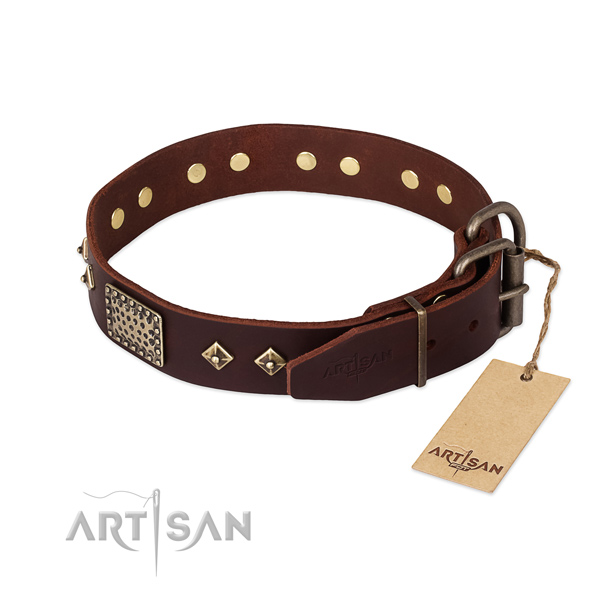 Full grain natural leather dog collar with reliable traditional buckle and adornments