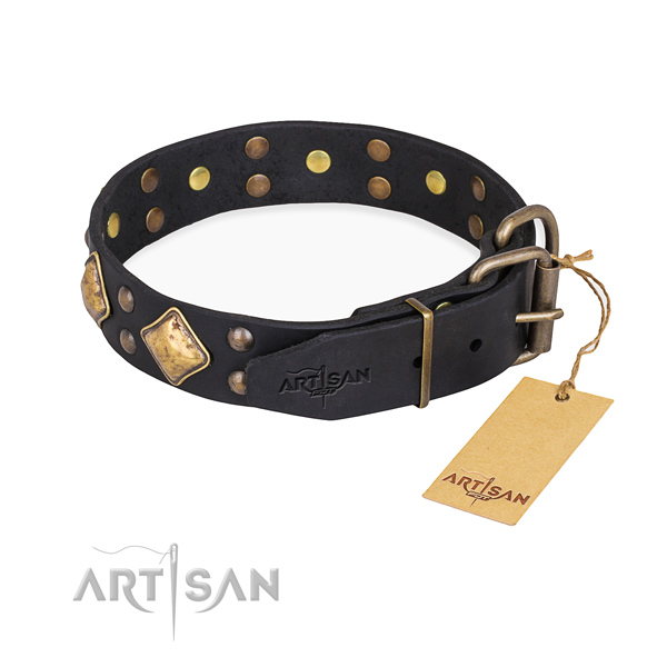 Full grain natural leather dog collar with incredible rust-proof studs