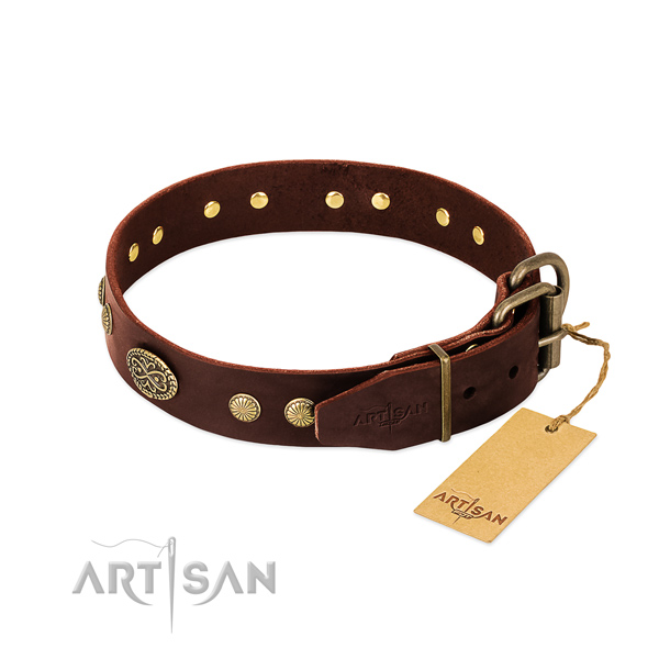 Corrosion resistant embellishments on full grain leather dog collar for your canine