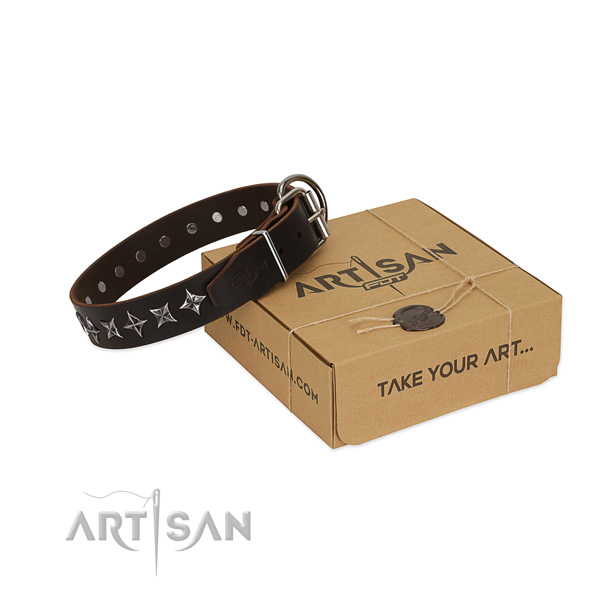 Daily walking dog collar of fine quality full grain leather with adornments