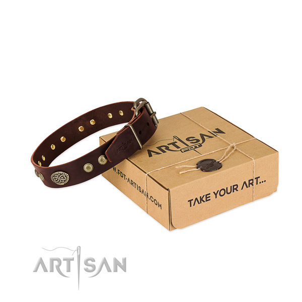 Corrosion proof fittings on leather dog collar for your dog