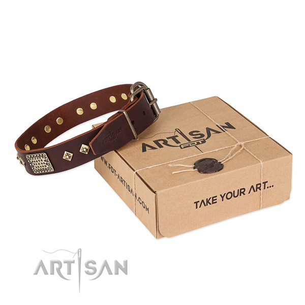 Stunning genuine leather collar for your stylish canine