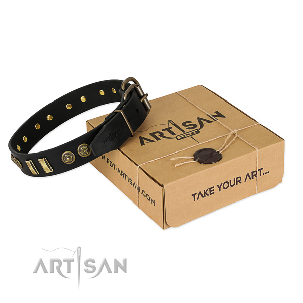 Strong adornments on full grain natural leather dog collar for your four-legged friend