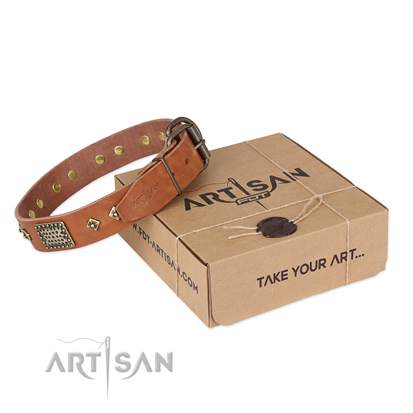 Unusual full grain natural leather collar for your lovely canine