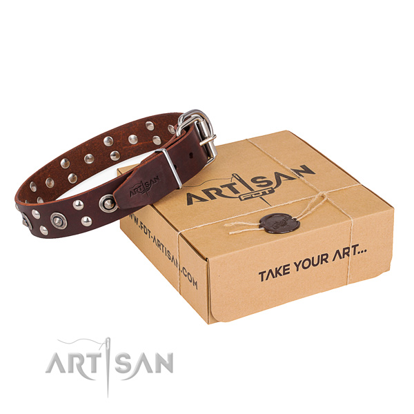 Durable hardware on full grain leather collar for your handsome four-legged friend