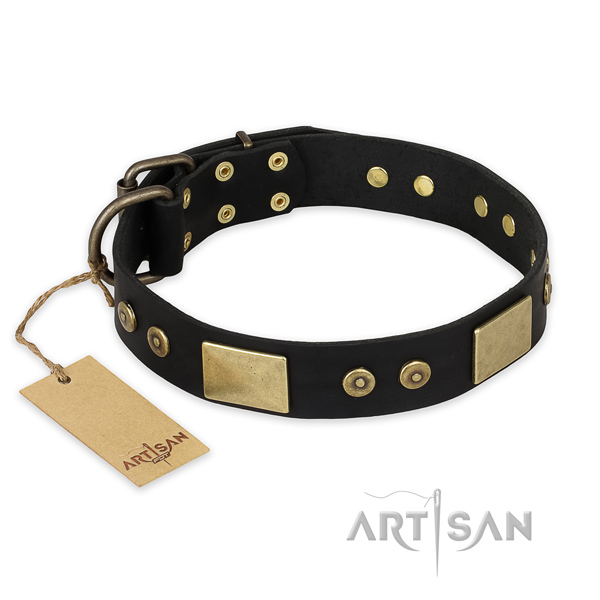 Extraordinary genuine leather dog collar for fancy walking