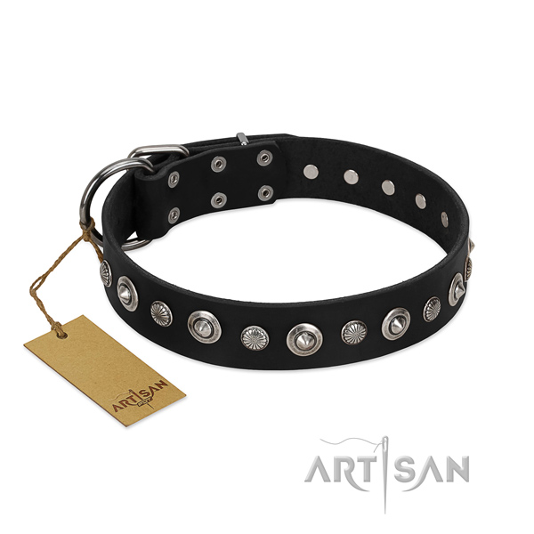 Reliable full grain natural leather dog collar with exceptional studs