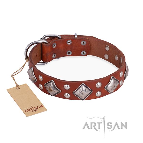 Handy use adorned dog collar with durable traditional buckle