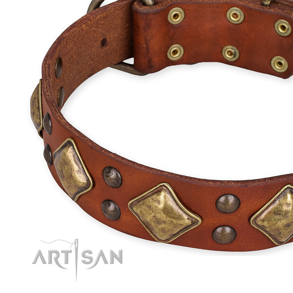 Natural leather collar with corrosion proof D-ring for your stylish doggie