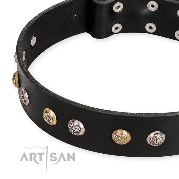 Full grain natural leather dog collar with stunning reliable decorations