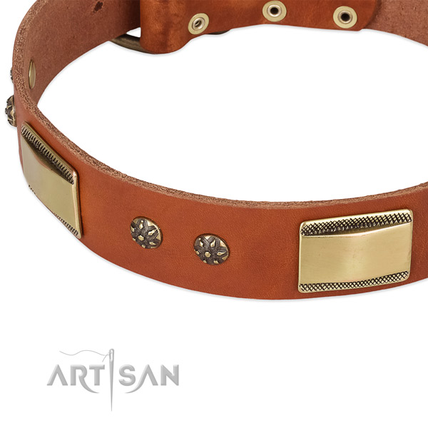 Reliable studs on leather dog collar for your four-legged friend
