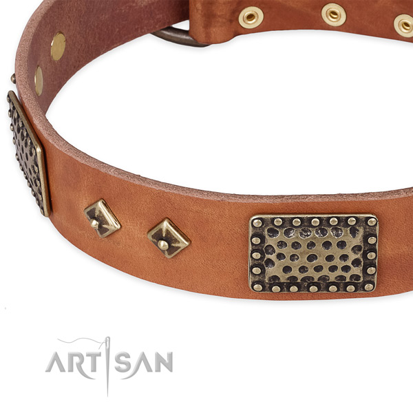 Reliable traditional buckle on full grain leather dog collar for your doggie