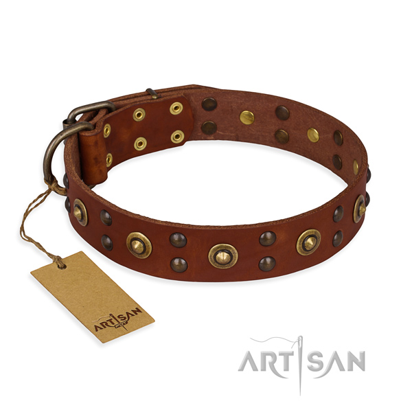 Studded leather dog collar with durable buckle