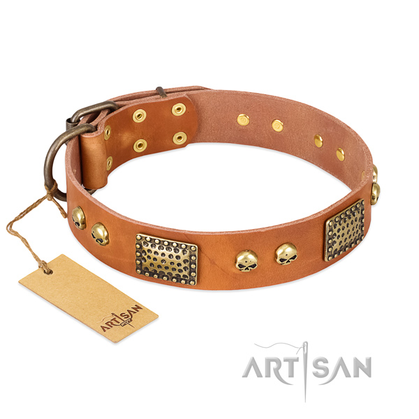 Easy to adjust natural leather dog collar for basic training your canine