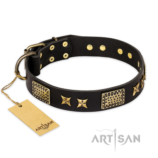 Exquisite leather dog collar with durable buckle
