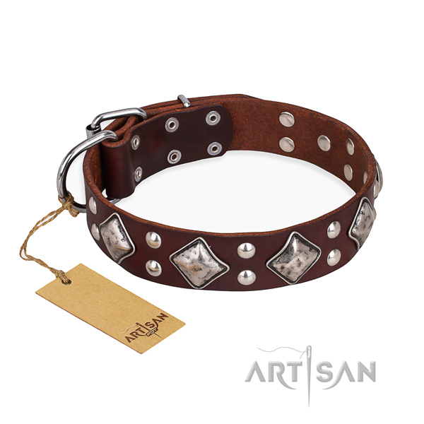 Stylish walking perfect fit dog collar with corrosion proof hardware