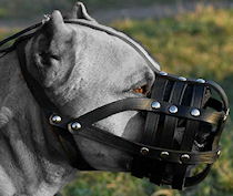 Cane Corso Everyday Light Weight Super Ventilation dog muzzle
