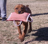 Dog bite pad made of jute with 3 handles for dog training