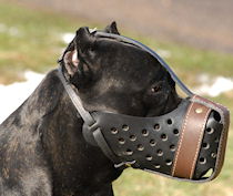 Leather dog muzzle 'Dondi' -pluse style For Cane Corso