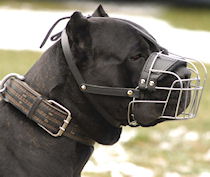 Cane Corso Wire Basket dog muzzle- Italian Mastiff dog muzzle