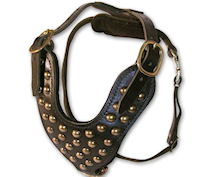 studded leather dog harness for Cane corso