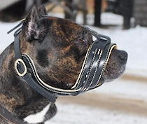 Royal Nappa Leather Dog Muzzle - product code : M88