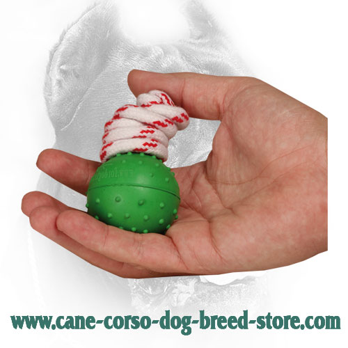 Safe in Use Rubber Cane Corso Ball for Dog Training