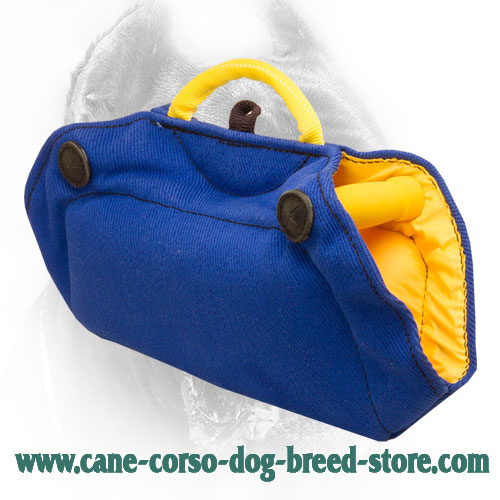 French Linen Cane Corso Bite Builder with Inside Handles Comfy in Use