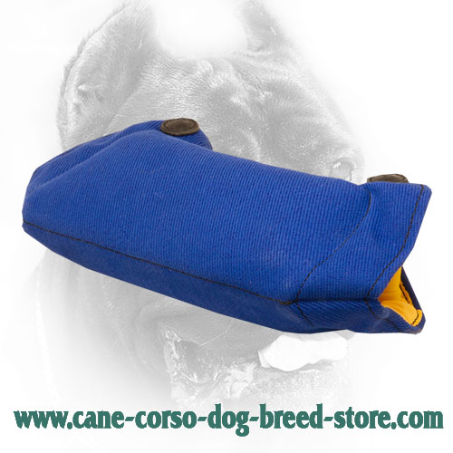 French Linen Cane Corso Bite Builder for Puppy Training