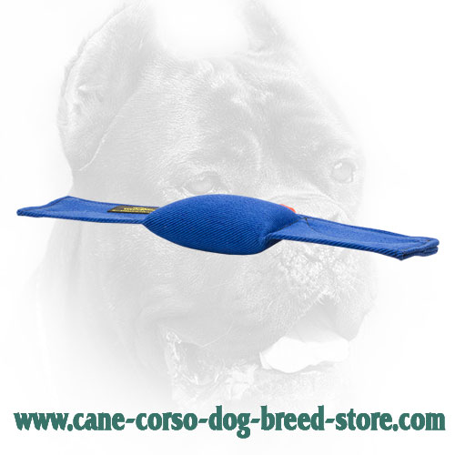 Stitched Cane Corso Bite Pad with Flexible Sides