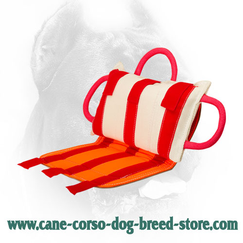 Professional Cane Corso Bite Pillow with Leather Cover