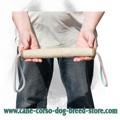 Eco-Friendly Cane Corso Bite Roll Meant for Puppy Training
