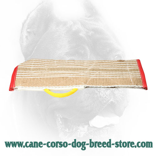 Strong Jute Cane Corso Bite Sleeve Cover with Comfy Handle