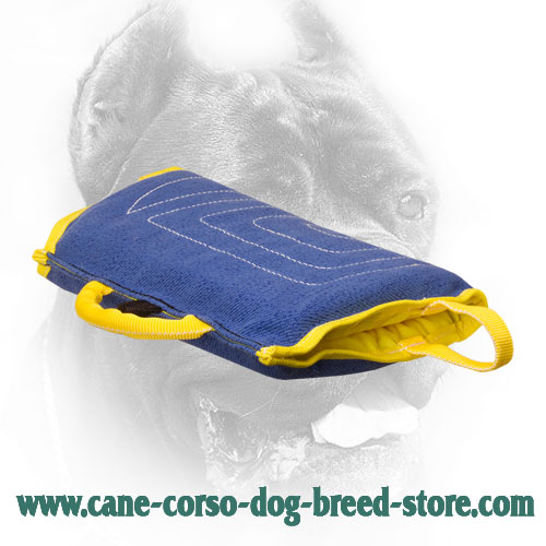 Extra Durable Cane Corso Bite Sleeve with Comfortable Handles