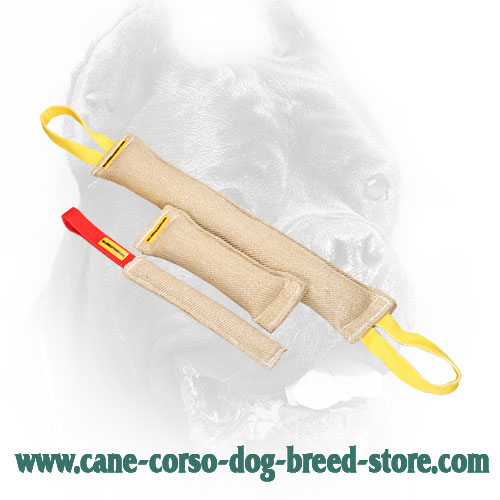 Dog-Friendly Cane Corso Bite Training Set of 3 Items