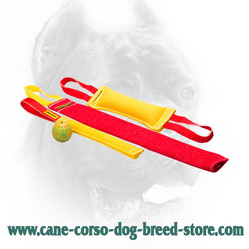 Safe in Use Cane Corso Bite Training Set of 4 Dog Supplies