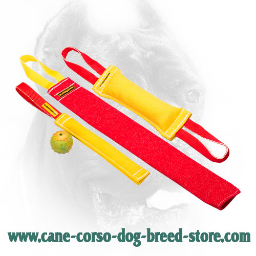 Cane Corso Bite Training Set for Young Dog Training