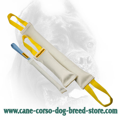 Fire Hose Cane Corso Bite Training Set of 3 Dog Items