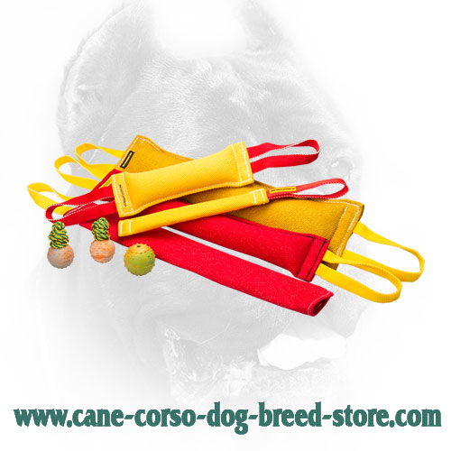 French Linen Cane Corso Bite Training Set for Effective Training