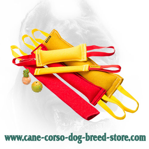 Safe in Use Cane Corso Bite Training Set for Training