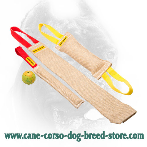 Jute Cane Corso Bite Training Set of 4 Dog Supplies