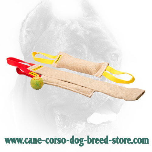 Jute Cane Corso Bite Training Set for Puppy Training